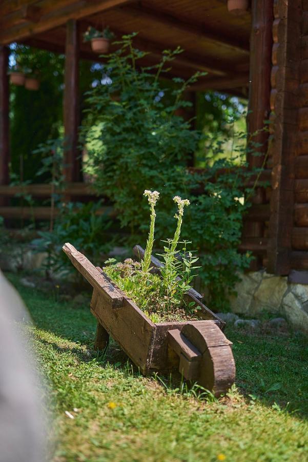 Country House Brijest Kolašin Buitenkant foto